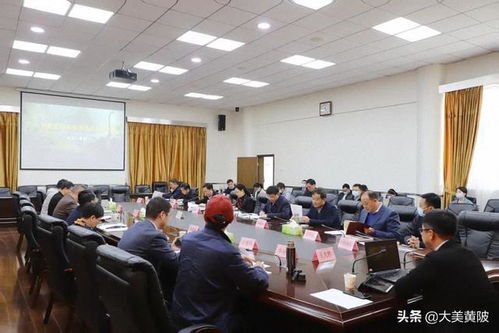 區領導專題聽取武漢中華恐龍園旅游度假區項目設計方案匯報